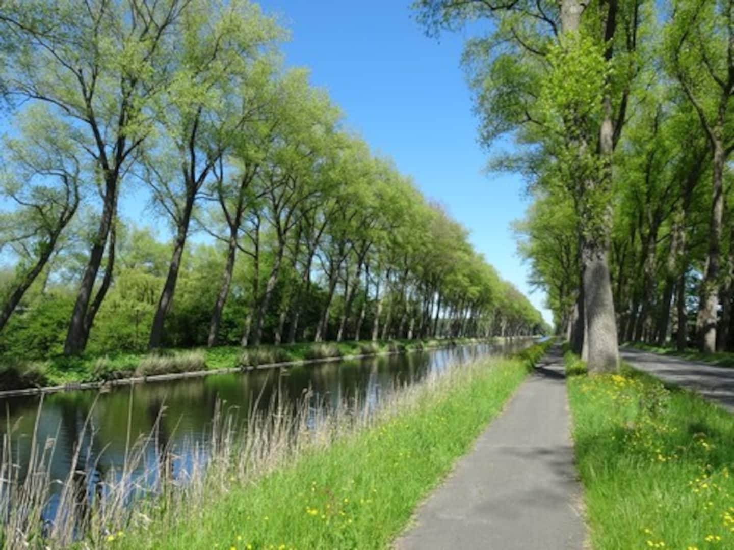 De Damse Vaart met haar populieren en weerspiegeling in het water